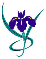 illustrated Iris