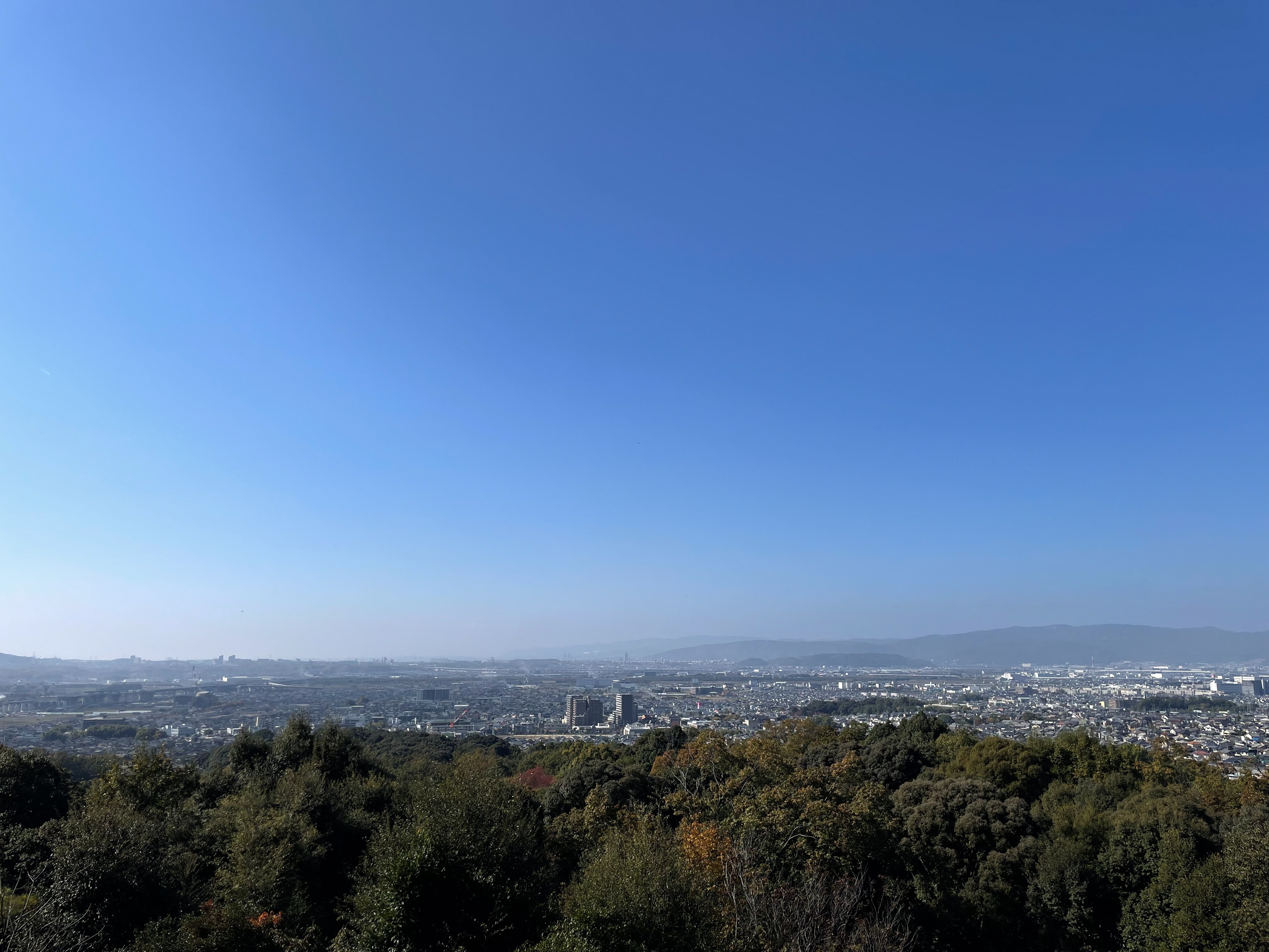 展望台からの眺め